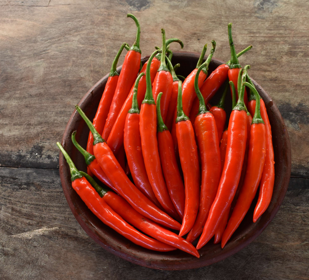 Ferment The Heat